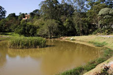 Parque Cemucam