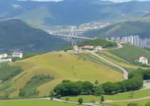irregularidades no vale-transporte Cotia