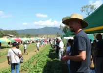 1ª FeiAgro