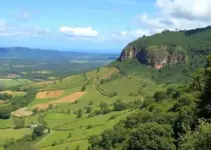 FEIAGRO