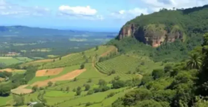 FEIAGRO