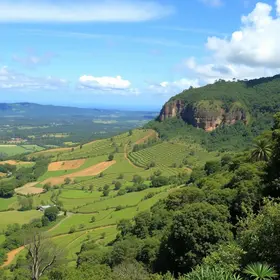 FEIAGRO
