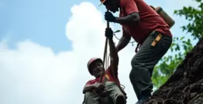 trabalho escravo