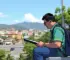 consulta pública online