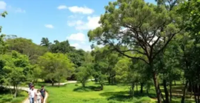 Parque Ecológico Chico Mendes