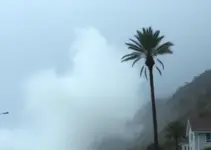 Defesa Civil de Cotia
