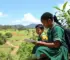 educação climática