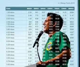 apuração da votação para presidente